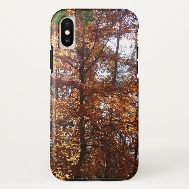 Sunlight Through Fall Tree at Greenbelt Case-Mate iPhone Case (Back)