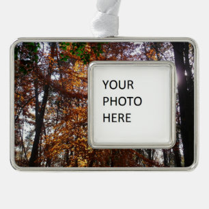 Sunlight Through Fall Tree at Greenbelt Christmas Ornament