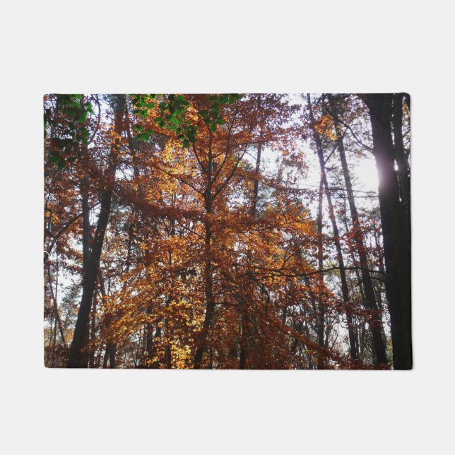 Sunlight Through Fall Tree at Greenbelt Doormat (Front)