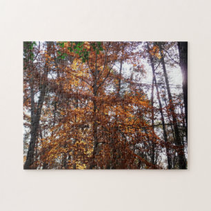 Sunlight Through Fall Tree at Greenbelt Jigsaw Puzzle
