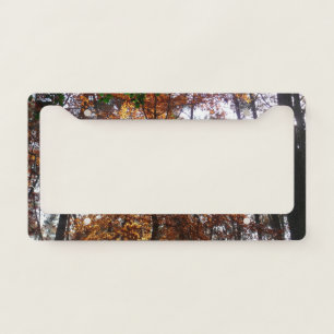 Sunlight Through Fall Tree at Greenbelt License Plate Frame