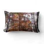 Sunlight Through Fall Tree at Greenbelt Lumbar Pillow