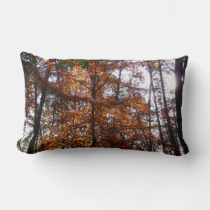 Sunlight Through Fall Tree at Greenbelt Lumbar Pillow