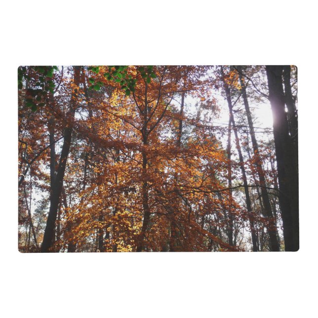 Sunlight Through Fall Tree at Greenbelt Placemat (Front)