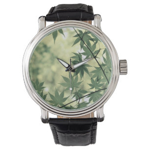 Sunlight Through Maple Leaves Watch
