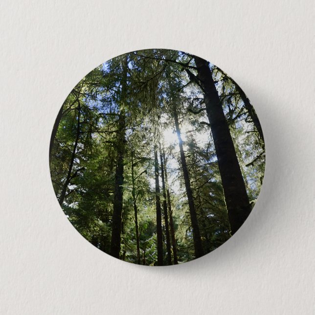 Sunlight Through Pine Trees Button (Front)