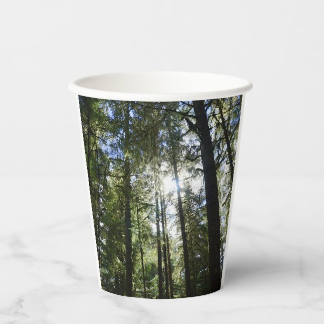 Sunlight Through Pine Trees Paper Cups (Front)