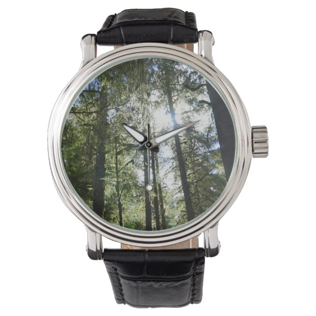 Sunlight Through Pine Trees Watch (Front)