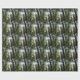 Sunlight Through Pine Trees Wrapping Paper