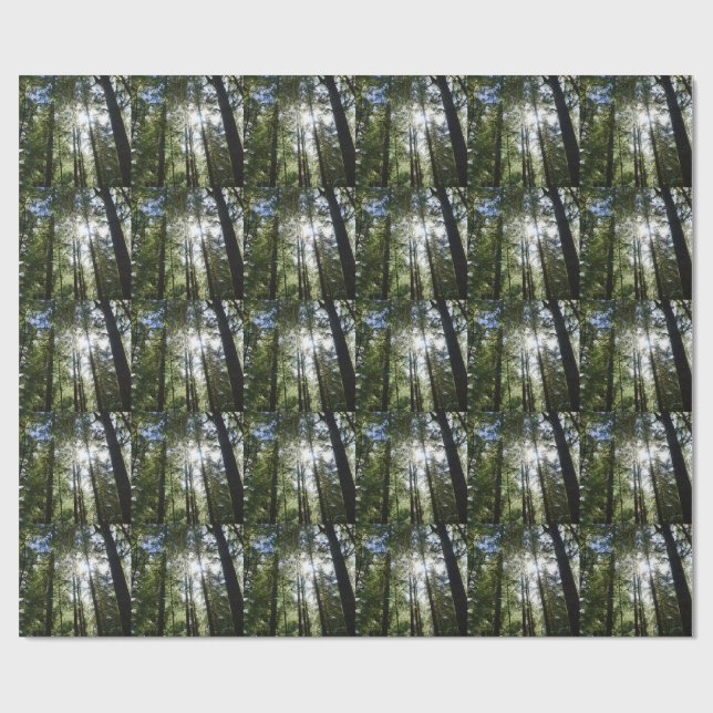 Sunlight Through Pine Trees Wrapping Paper (Flat)