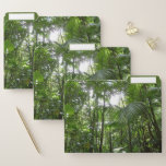 Sunlight Through Rainforest Canopy File Folder