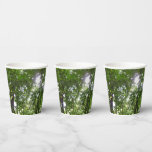 Sunlight Through Rainforest Canopy Paper Cups