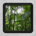 Sunlight Through Rainforest Canopy Patch