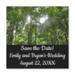 Sunlight Through Rainforest Canopy Save the Date