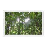 Sunlight Through Rainforest Canopy Tropical Green Acrylic Tray