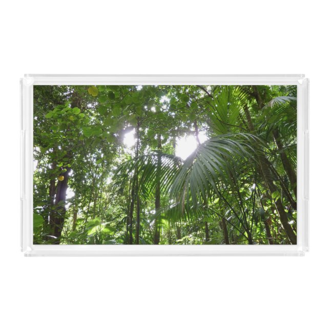 Sunlight Through Rainforest Canopy Tropical Green Acrylic Tray (Front)