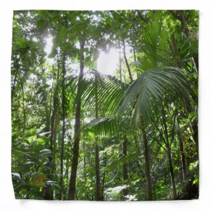 Sunlight Through Rainforest Canopy Tropical Green Bandana