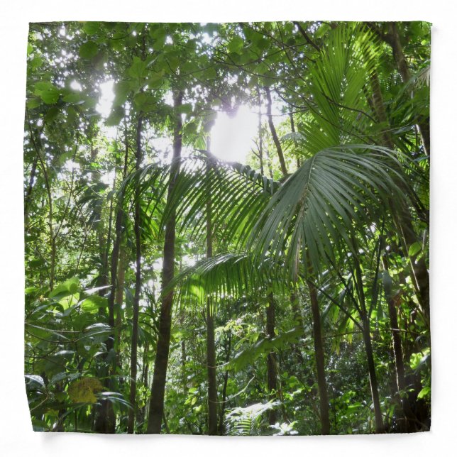 Sunlight Through Rainforest Canopy Tropical Green Bandana (Front)