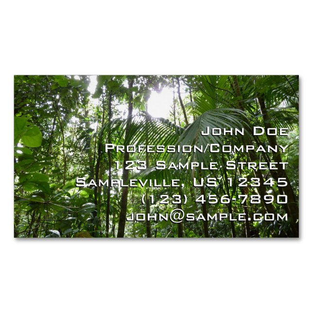 Sunlight Through Rainforest Canopy Tropical Green Business Card Magnet (Front)