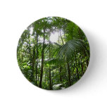 Sunlight Through Rainforest Canopy Tropical Green Button