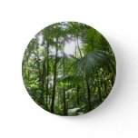 Sunlight Through Rainforest Canopy Tropical Green Button