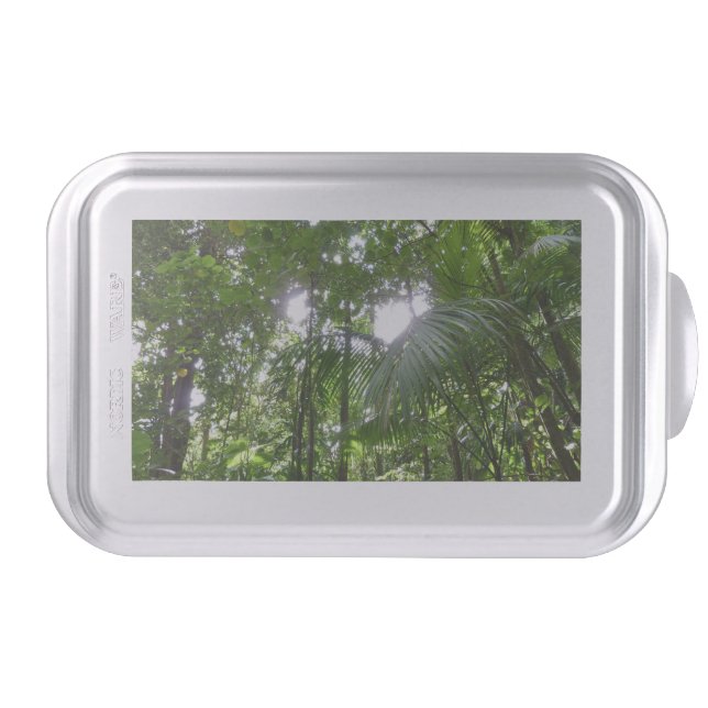 Sunlight Through Rainforest Canopy Tropical Green Cake Pan (Front)