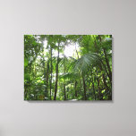 Sunlight Through Rainforest Canopy Tropical Green Canvas Print