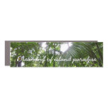 Sunlight Through Rainforest Canopy Tropical Green Car Magnet