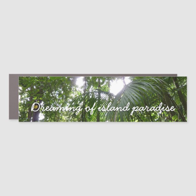 Sunlight Through Rainforest Canopy Tropical Green Car Magnet (Front)