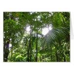 Sunlight Through Rainforest Canopy Tropical Green Card