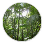 Sunlight Through Rainforest Canopy Tropical Green Ceramic Knob