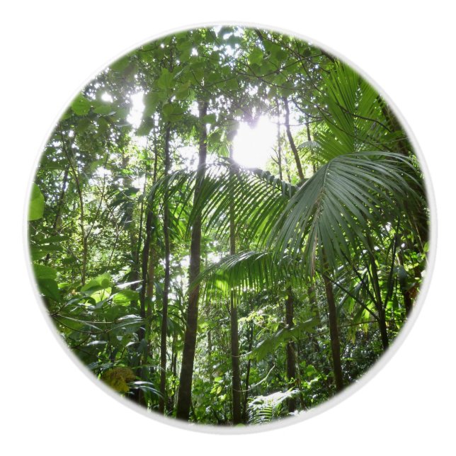 Sunlight Through Rainforest Canopy Tropical Green Ceramic Knob (Front)