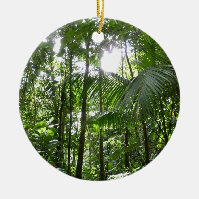 Sunlight Through Rainforest Canopy Tropical Green Ceramic Ornament (Front)