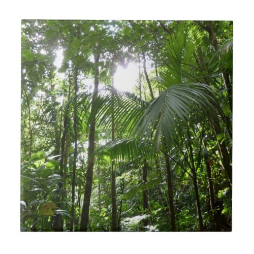Sunlight Through Rainforest Canopy Tropical Green Ceramic Tile
