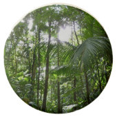 Sunlight Through Rainforest Canopy Tropical Green Chocolate Dipped Oreo (Front)