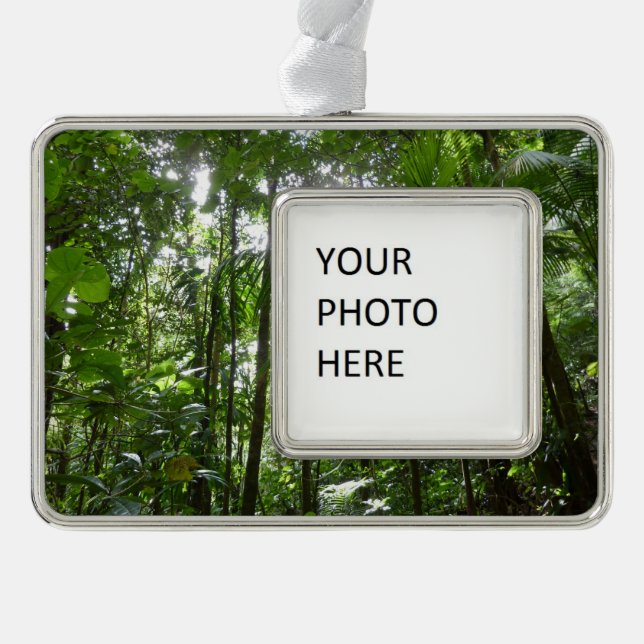 Sunlight Through Rainforest Canopy Tropical Green Christmas Ornament (Front)