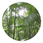 Sunlight Through Rainforest Canopy Tropical Green Classic Round Sticker