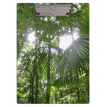 Sunlight Through Rainforest Canopy Tropical Green Clipboard