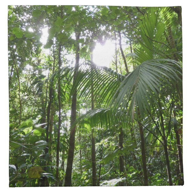 Sunlight Through Rainforest Canopy Tropical Green Cloth Napkin (Front)