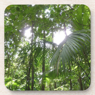 Sunlight Through Rainforest Canopy Tropical Green Coaster