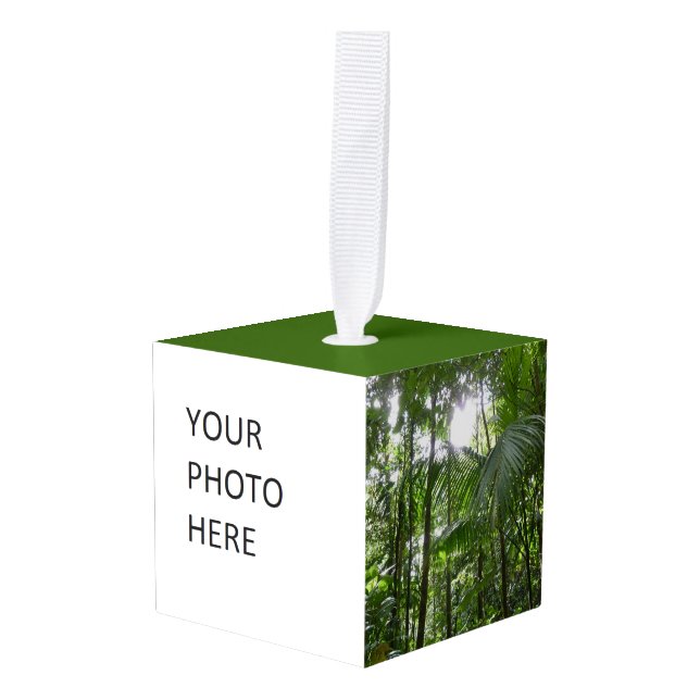 Sunlight Through Rainforest Canopy Tropical Green Cube Ornament (Front Angled)