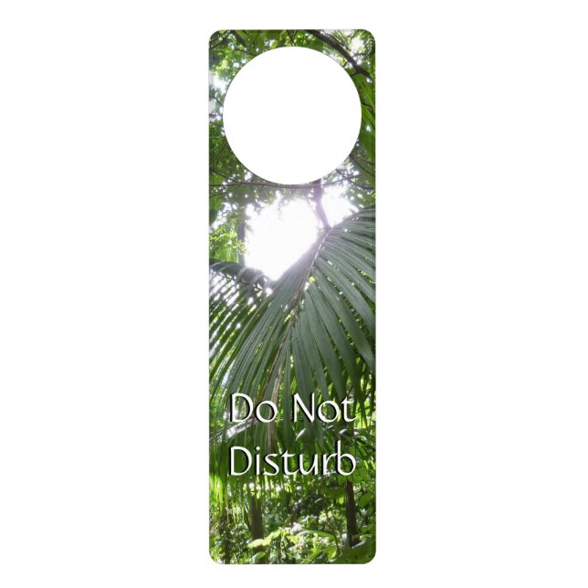 Sunlight Through Rainforest Canopy Tropical Green Door Hanger (Front)
