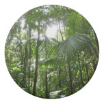 Sunlight Through Rainforest Canopy Tropical Green Eraser