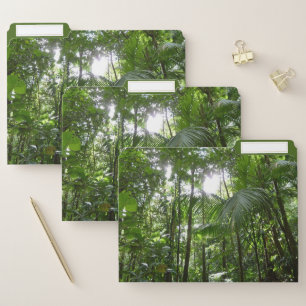 Sunlight Through Rainforest Canopy Tropical Green File Folder