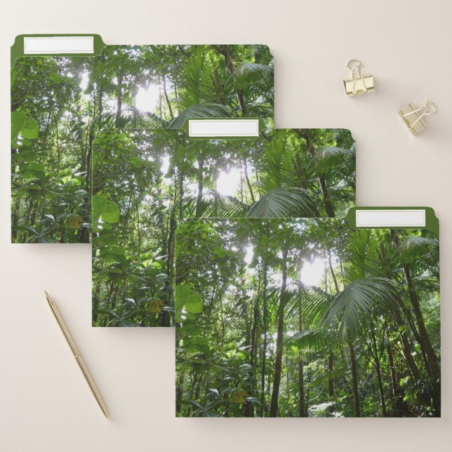 Sunlight Through Rainforest Canopy Tropical Green File Folder (Set)