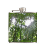 Sunlight Through Rainforest Canopy Tropical Green Flask