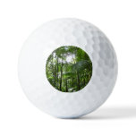 Sunlight Through Rainforest Canopy Tropical Green Golf Balls
