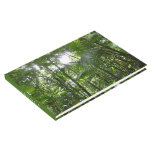 Sunlight Through Rainforest Canopy Tropical Green Guest Book