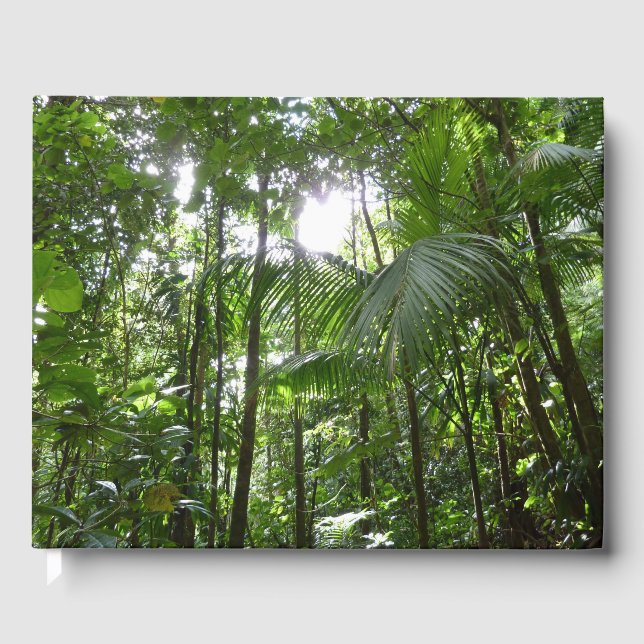 Sunlight Through Rainforest Canopy Tropical Green Guest Book (Front)