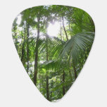 Sunlight Through Rainforest Canopy Tropical Green Guitar Pick